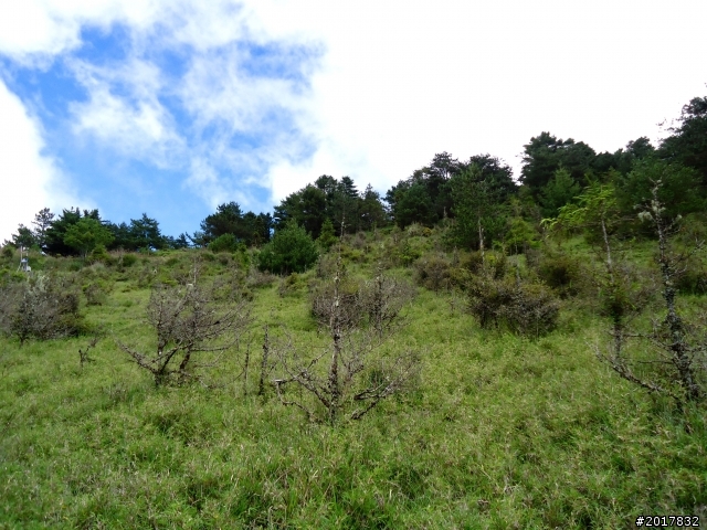 2012-8-12-13塔塔加麟趾山古道逍遙遊