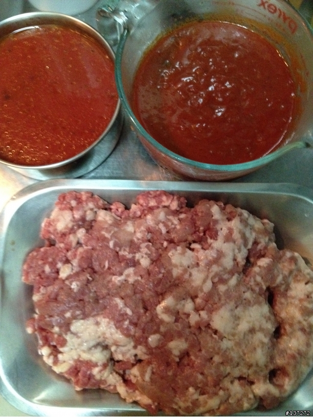 Ragu' alla bolognese 義大利肉醬