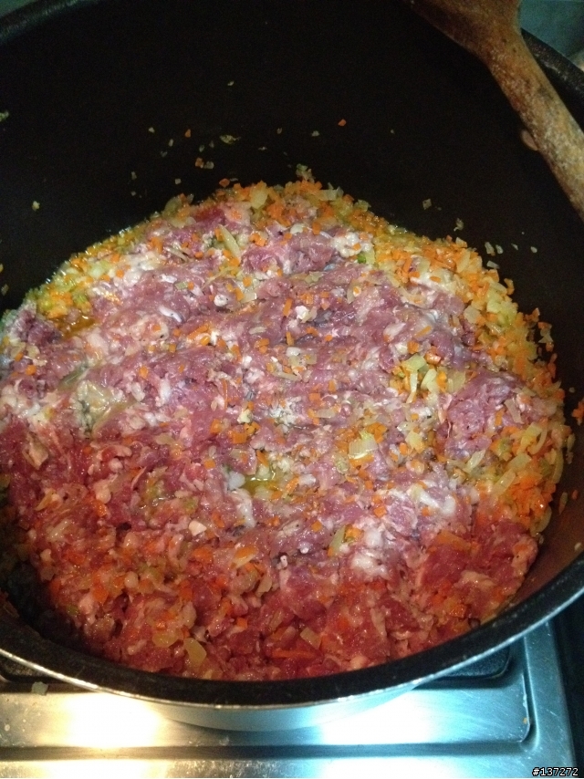 Ragu' alla bolognese 義大利肉醬