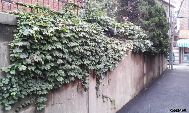 泛泰A840S 1300萬像素攝像頭拍照效果