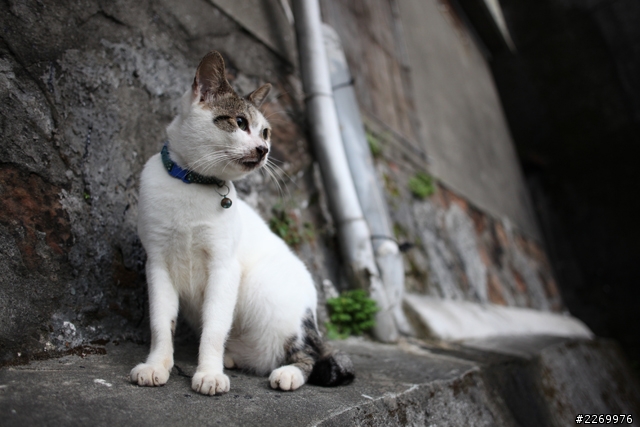 [號召]Canon EF 28mm f/2.8 IS USM蓋大樓囉!!!!
