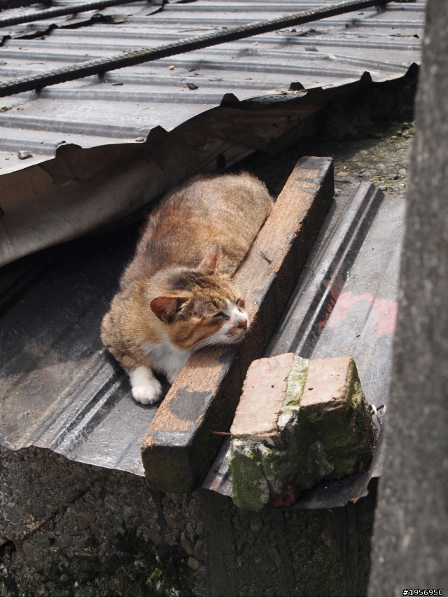 【 單車 x 大冒險 】 (20131004更新中)