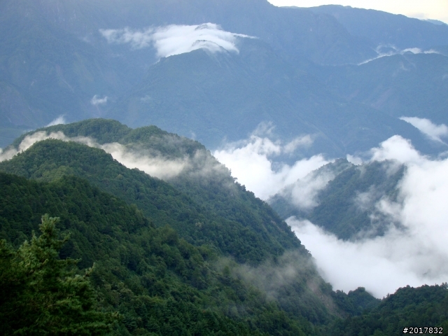2012-8-12-13塔塔加麟趾山古道逍遙遊