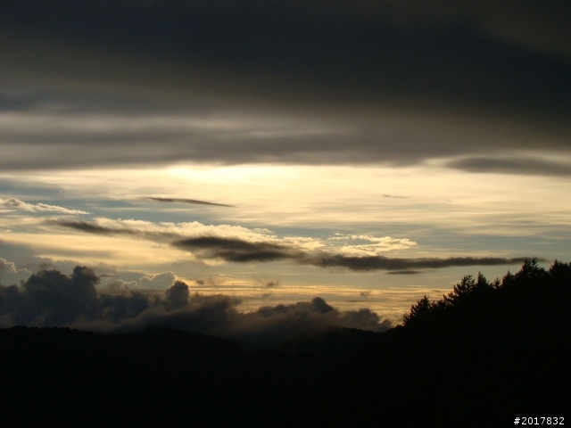 2012-8-12-13塔塔加麟趾山古道逍遙遊