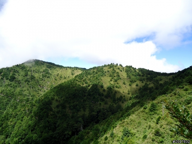 2012-8-12-13塔塔加麟趾山古道逍遙遊