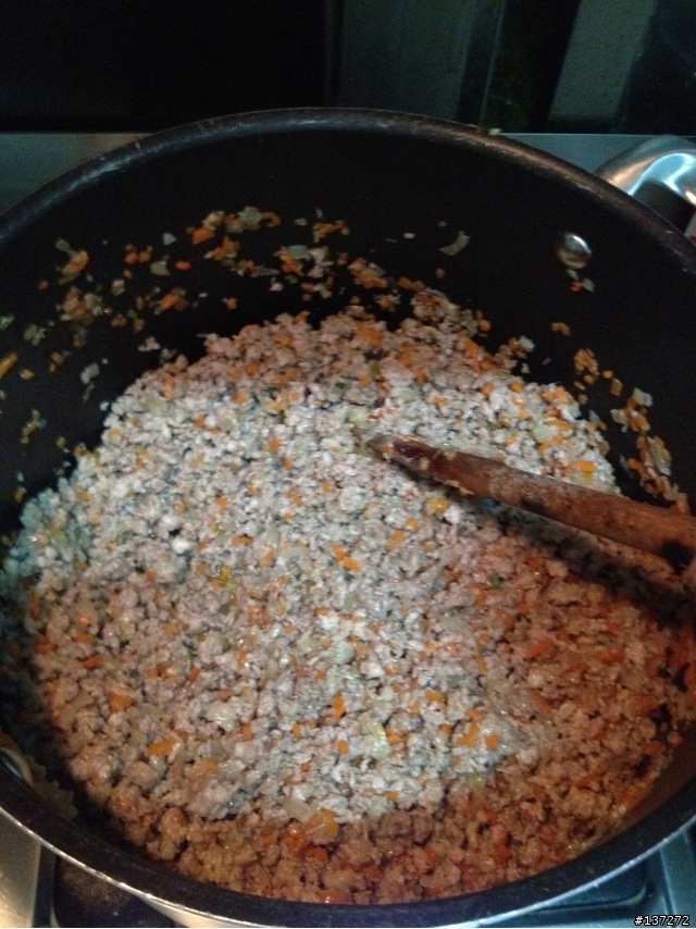 Ragu' alla bolognese 義大利肉醬