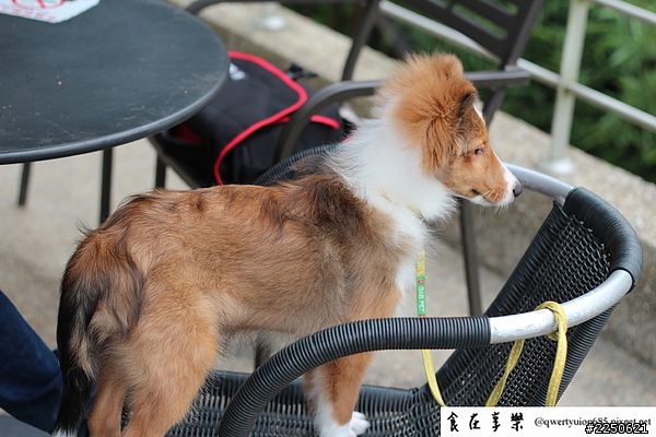 喜樂蒂 - 小屁孩滴弟遊日月潭去~~