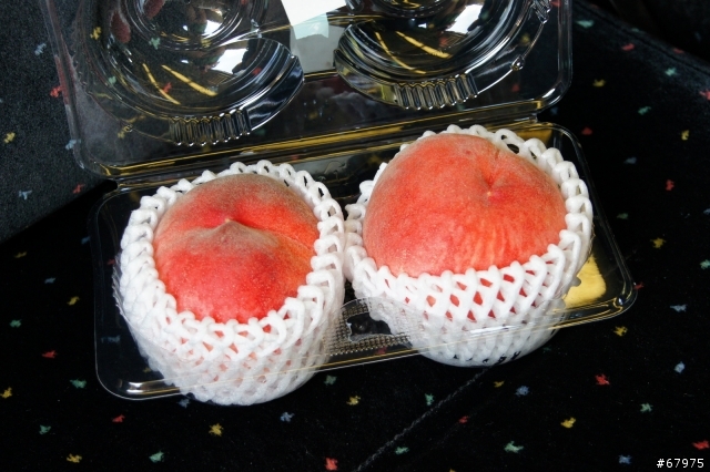 8/16～8/21 北九州自由行 - 食物紀錄（補完了）