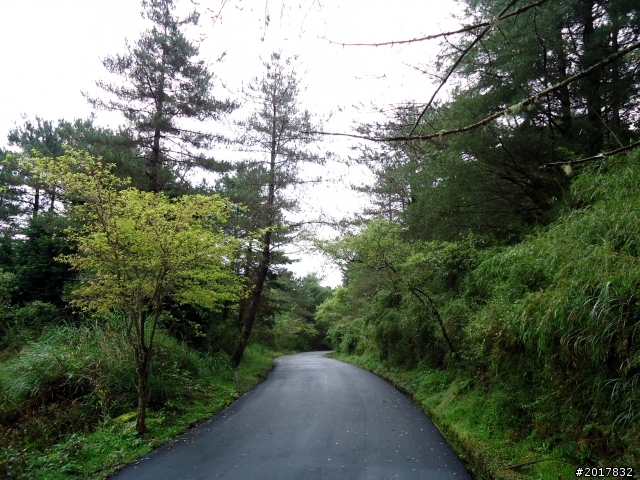 2012-8-12-13塔塔加麟趾山古道逍遙遊