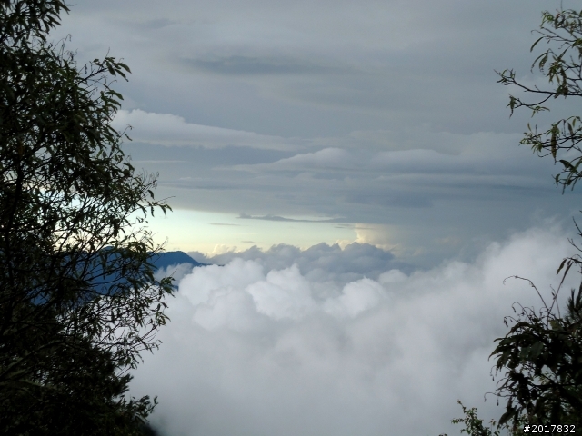 2012-8-12-13塔塔加麟趾山古道逍遙遊