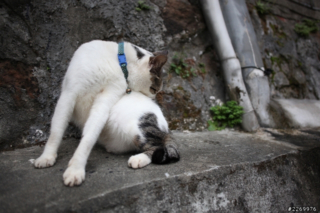 [號召]Canon EF 28mm f/2.8 IS USM蓋大樓囉!!!!
