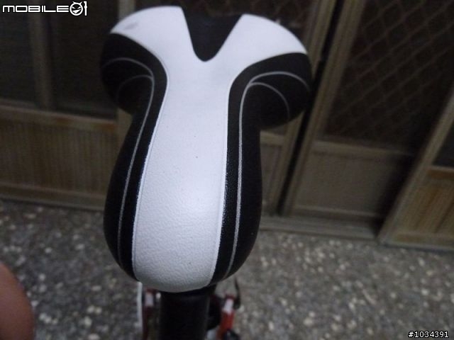 GIANT ANYROAD 1 & AVAIL 不專業開箱
