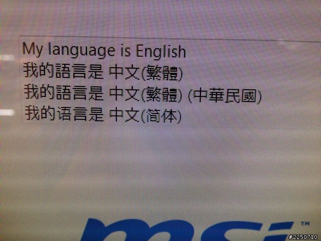 MSI AE2081/i32120/20"  開箱