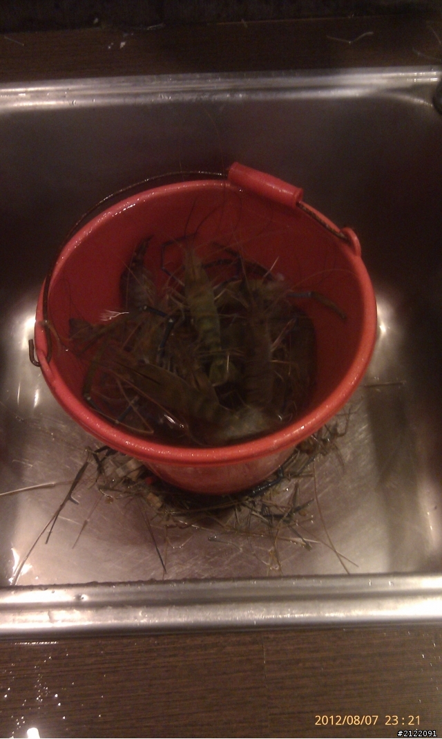 (分享)台南釣蝦遊