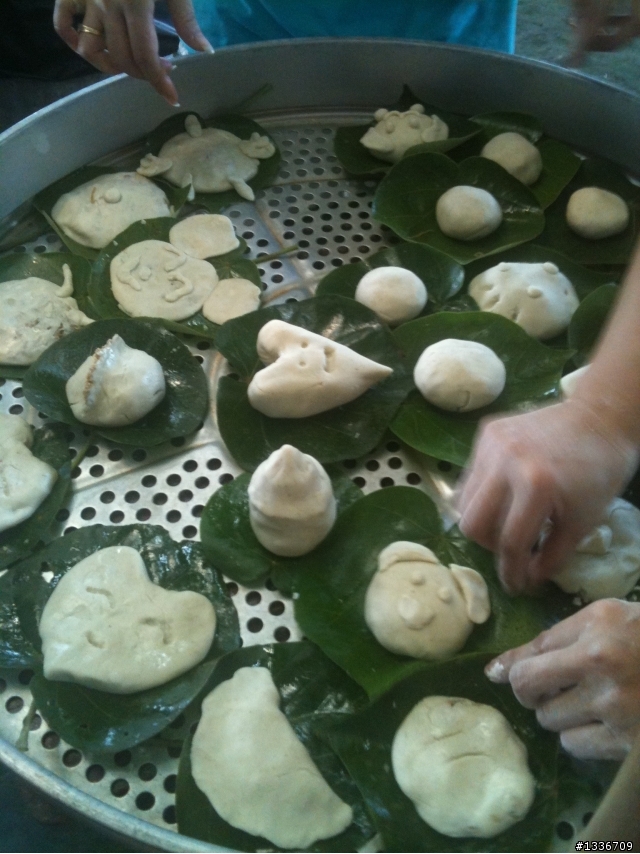 大莽7/29葵海農場一日遊