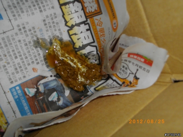 幼鴿21天，頭頸毛少 發育慢