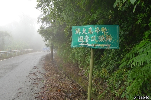 [2012-8-6 to 2012-8-9] 四天三夜力行武嶺花蓮吃吃喝喝半環島