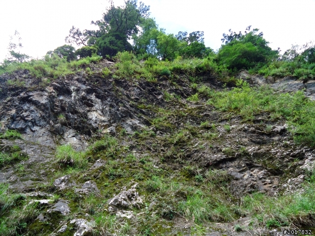 2012-8-12-13塔塔加麟趾山古道逍遙遊