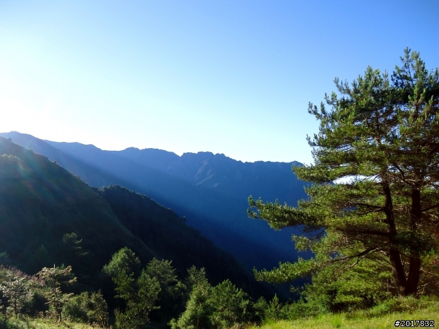 2012-8-12-13塔塔加麟趾山古道逍遙遊