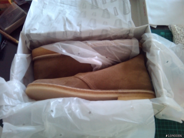 [開箱]Clarks Originals Desert Boot Oakwood Suede