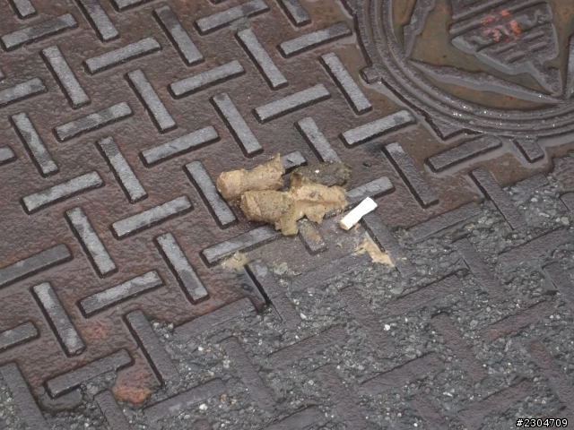 聖遺物保護研究協會籌備中[0806更新]