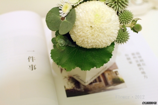 [分享] 室內小花新選擇