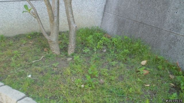 RYOBI割草機開箱