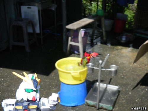 [(完整版)]--鋼彈菜籃車花東行，9/2~9/6五天四夜