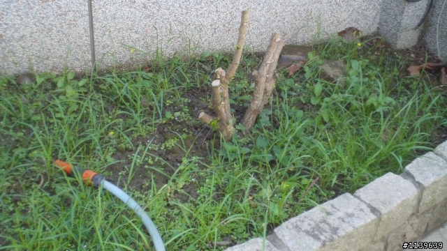 RYOBI割草機開箱