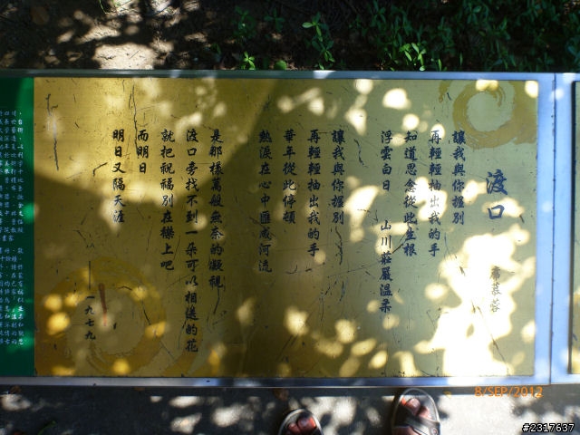 尋訪小烏龜－五壩騎跡