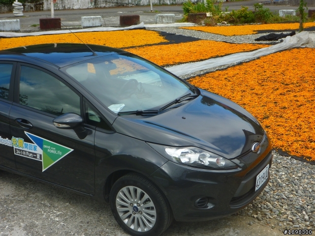 24小時 Fun 一夏Ford Fiesta 試駕─花蓮赤柯山及六十石山金針花季