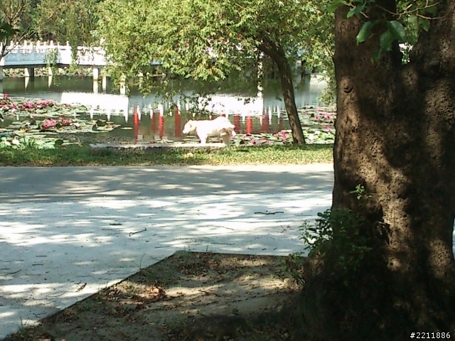 台南練跑場地  台南公園介紹