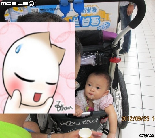 實用多功能幸福加拿大推車Chariot Cougar 一家人的移動幸福~~