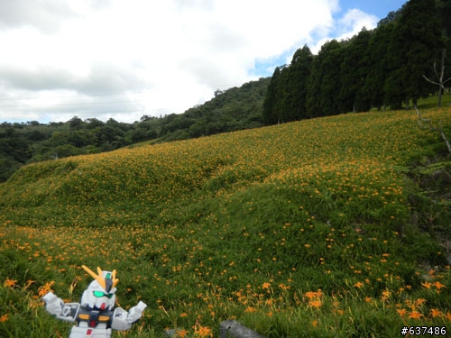 [(完整版)]--鋼彈菜籃車花東行，9/2~9/6五天四夜