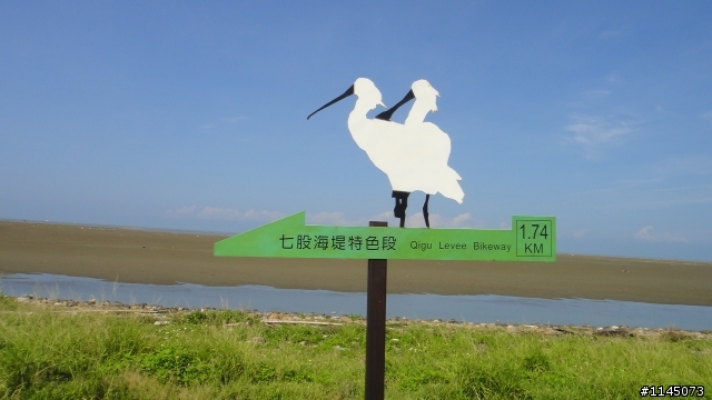台江單車小旅行