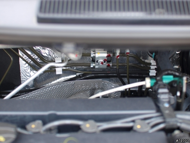 我與Fiesta的一日情緣