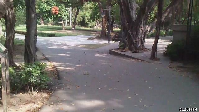 台南練跑場地  台南公園介紹