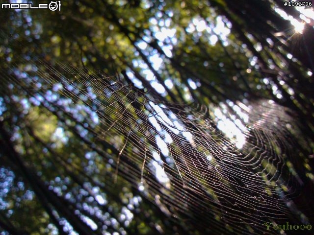 我是手機攝影愛好者