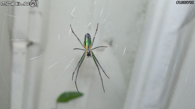 我是手機攝影愛好者