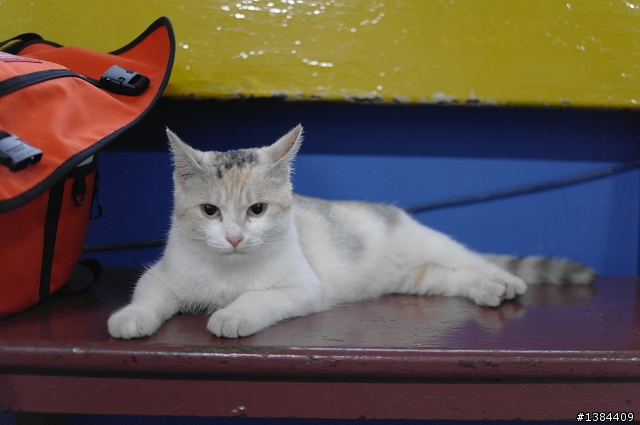猴硐‧九份