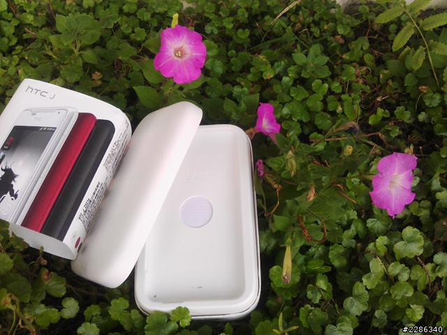 草地意外發現!(hTC J)....新增夜拍