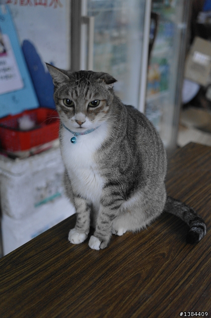 猴硐‧九份