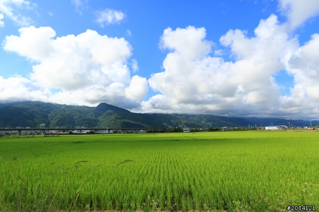 大家一起來打鳥囉！
