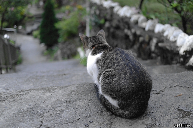 猴硐‧九份