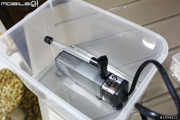 《DIY》自製貓咪飲水機