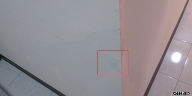 [中古屋] 交屋前驗屋 窗框漏水&疑似壁癌 的處理?