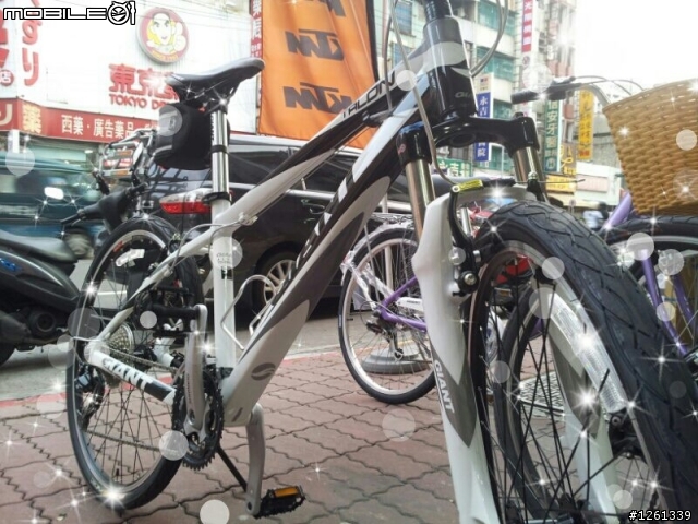無敵小折升級當老大，小三大龍登場