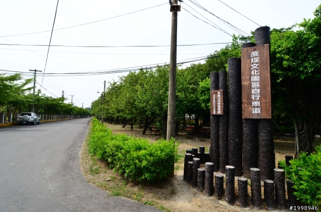 朴子知性之旅一日遊