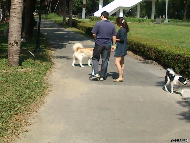 台南練跑場地  台南公園介紹