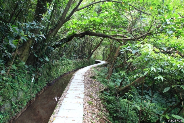 台北城夏日消暑去處--狗殷勤水圳古道